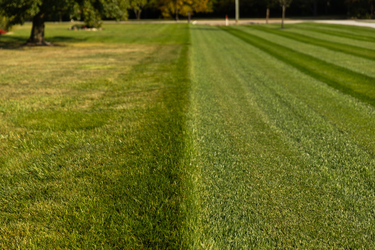 The True Cost of DIY Lawn Care & Why Hiring the Pros Pays Off